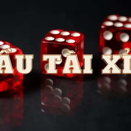 Tài Xỉu và Các Loại Cược: Hướng Dẫn Chi Tiết Cho Người Mới 2026